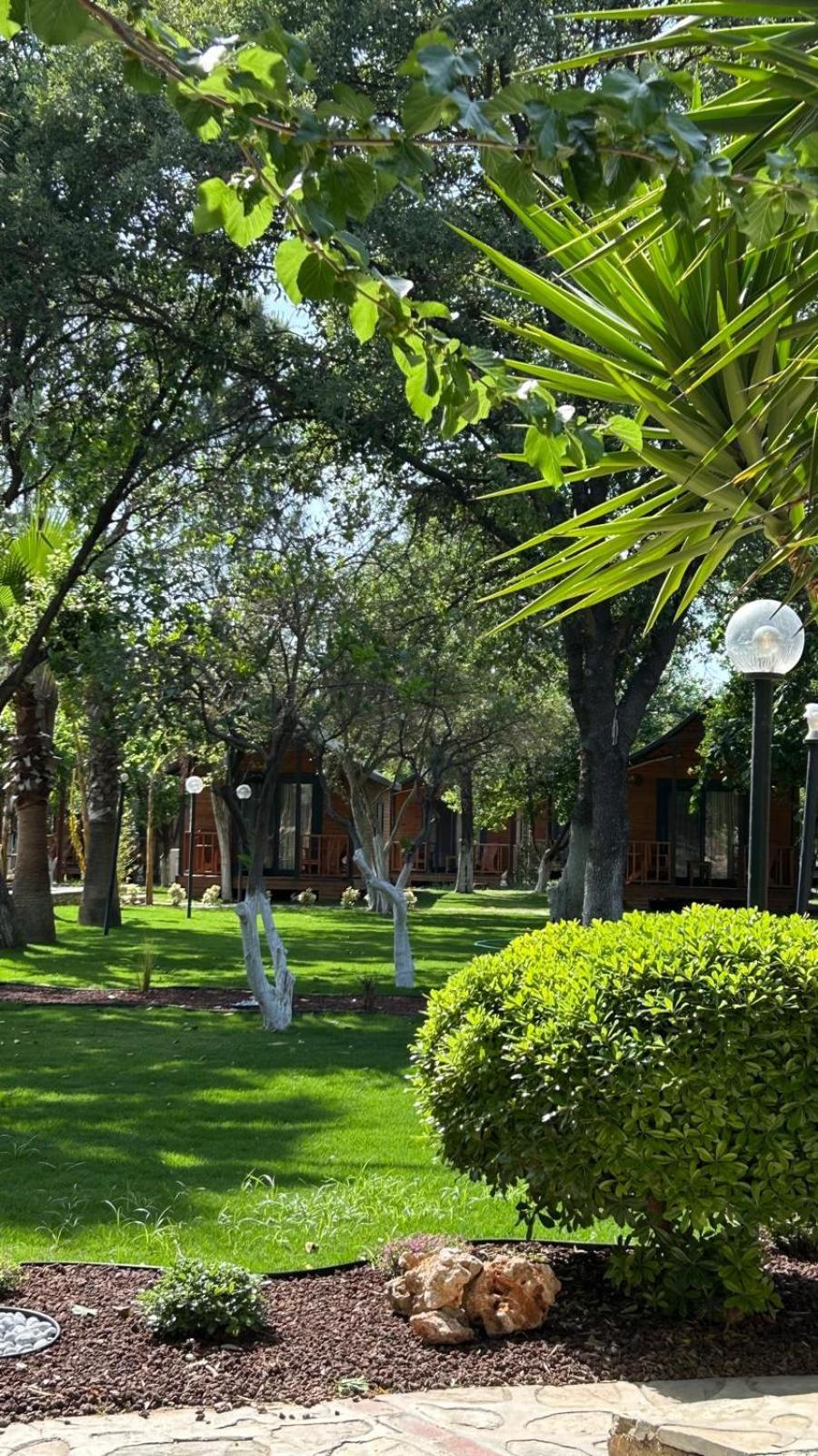 Dolce Luxury Bodrum